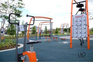 12496684ebc121eca4f4ff31d5bf65c4